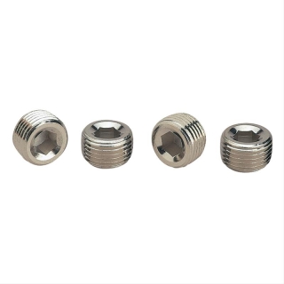 Blindstopfen - Plugs  1/4 NPT Chrom